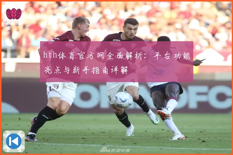 hth体育官方网全面解析：平台功能亮点与新手指南详解